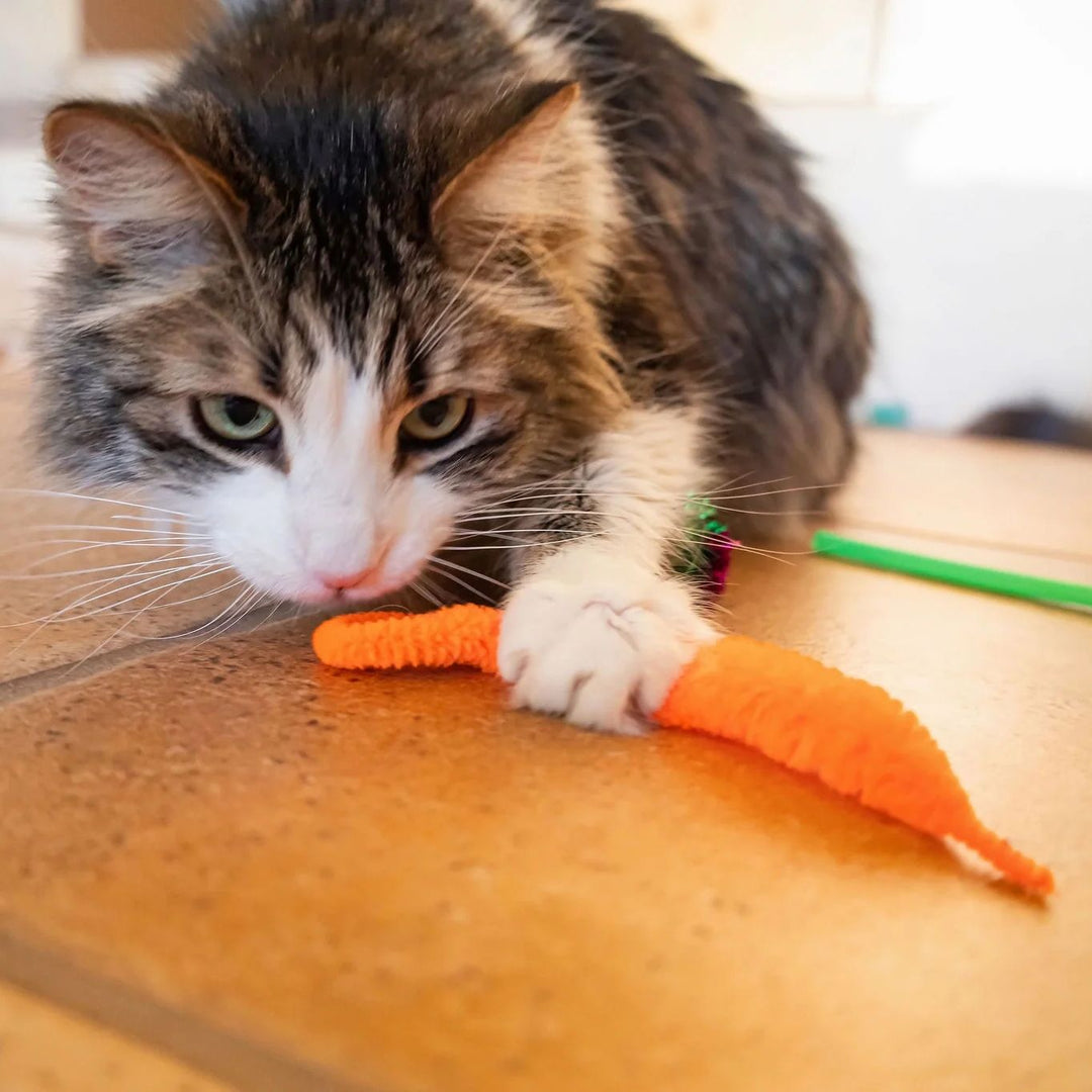 24 Piece Value Pack Cat Toys