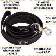 Heavy Duty Leather Dog Leash 6 Ft X 1