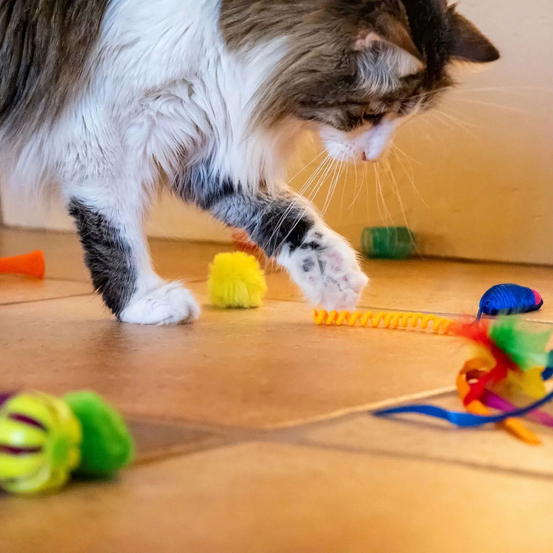 24 Piece Value Pack Cat Toys
