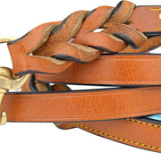 Leather Braided Dog Leash, Tan with Teal Padded Handle, 6Ft X 3/4