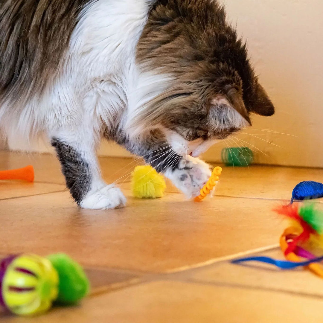 24 Piece Value Pack Cat Toys