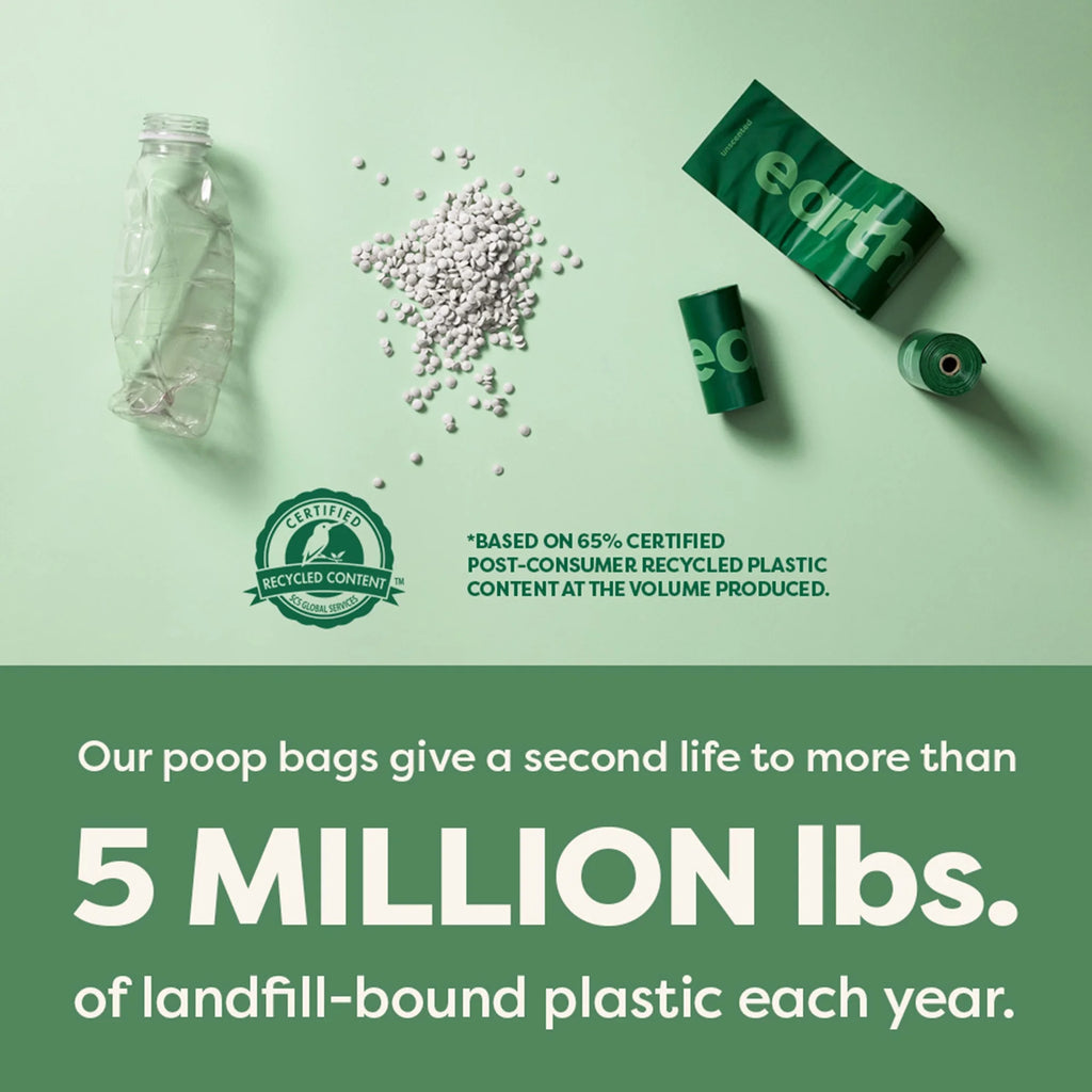 Unscented Leak-Proof Dog Waste Bags, 100 Count in 5 Convenient Refill Rolls