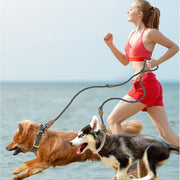 Dual Dog Leash, Double Dog Leash, 360 Swivel No Tangle Walking Leash, Hands Free Leash W Leather Tailored Connection, Double Rope Leash for Two Dogs (Blue Green, 8FT)