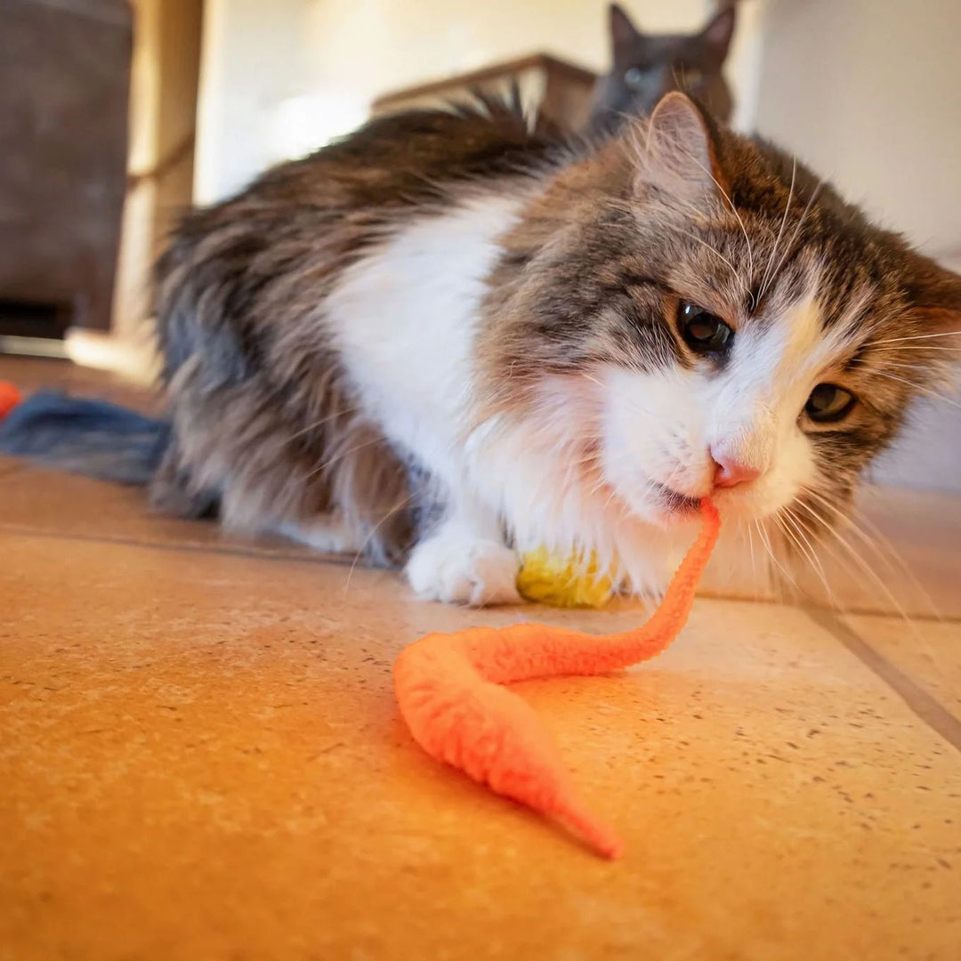 24 Piece Value Pack Cat Toys