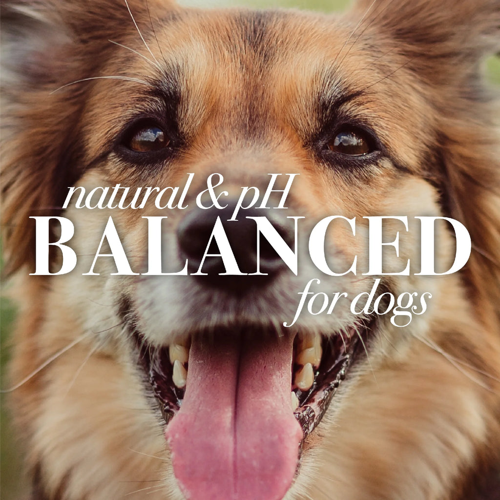 Canine Eye Wash Saline Solution - 4 Oz.