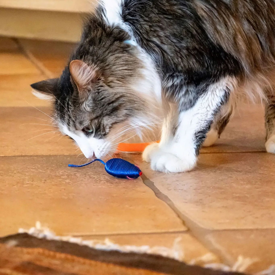 24 Piece Value Pack Cat Toys